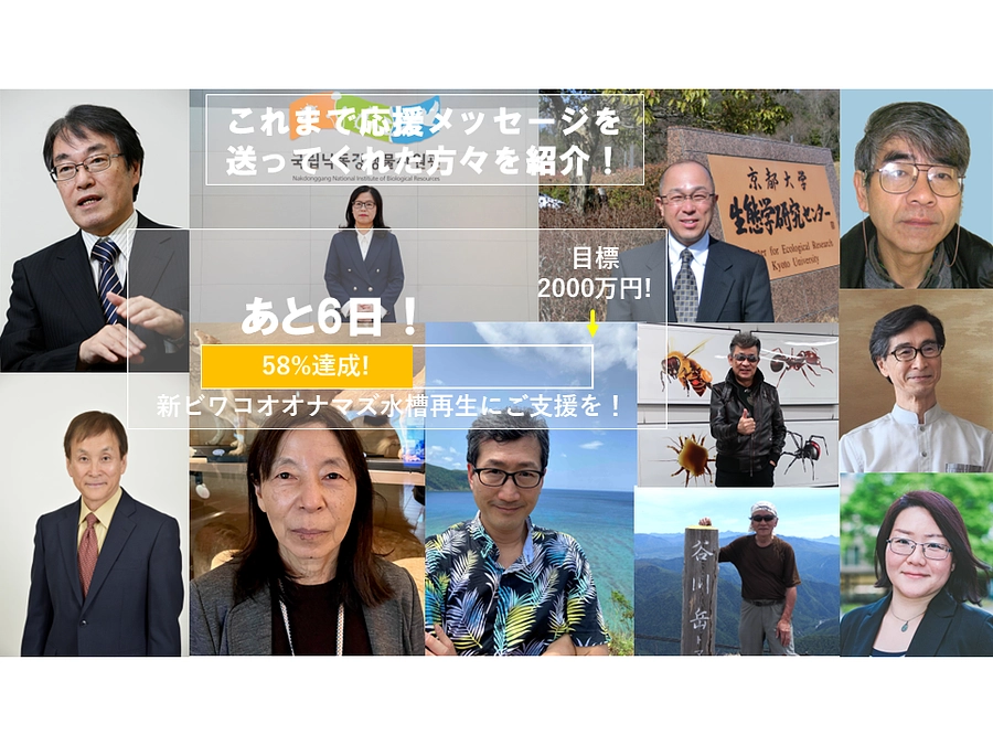 【クラファン終了まで残り6日】これまで応援メッセージをお寄せ頂いた方々のご紹介④