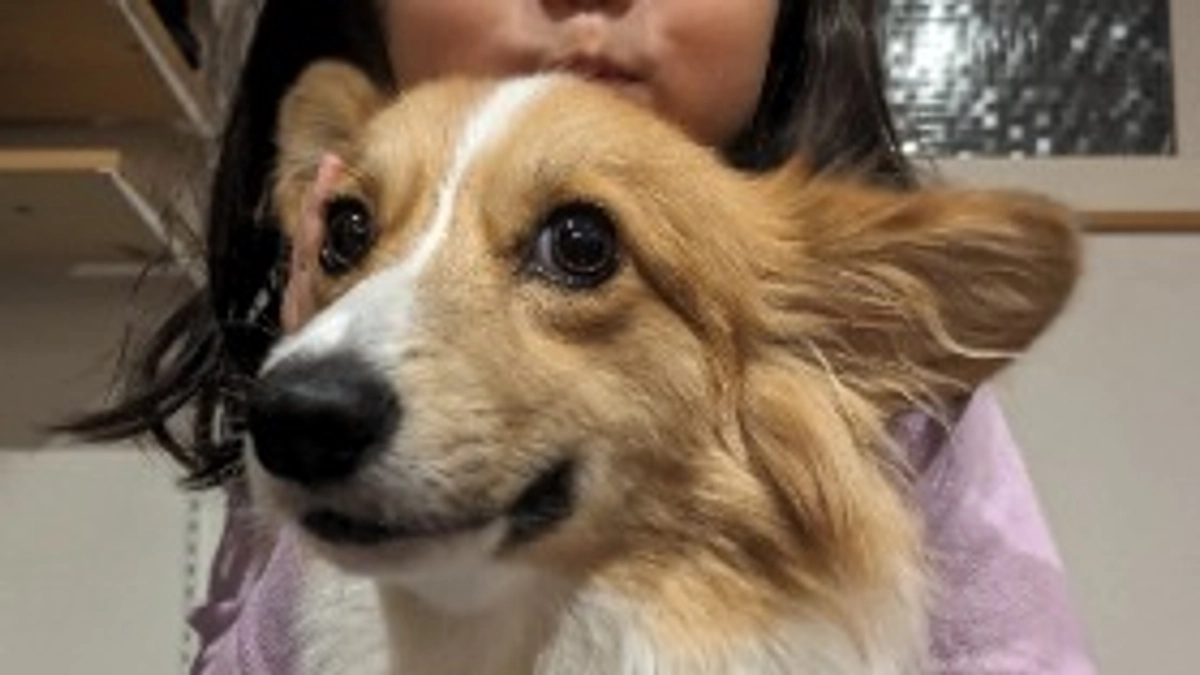 達成率46%ありがとうございます✨✨