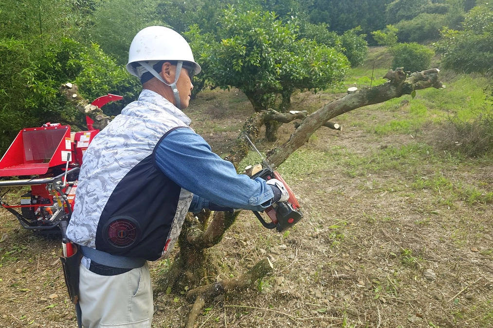 締め切りまで残り16日