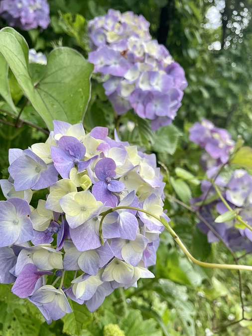 活動報告書、領収証について