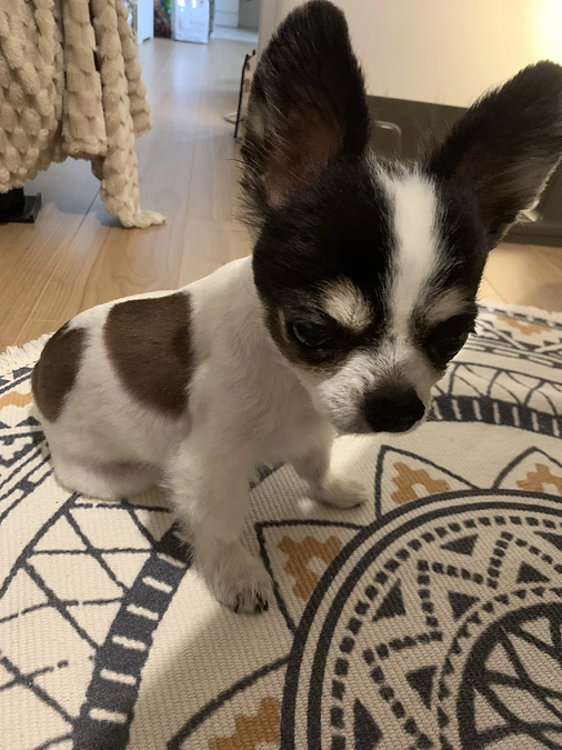 下痢おさまりました🥲✨