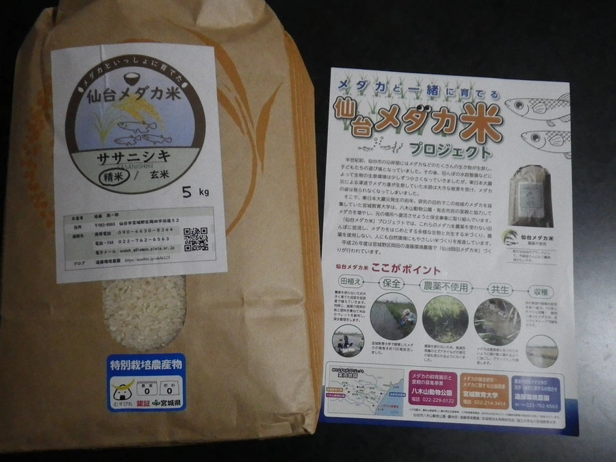 返礼品の紹介ー仙台メダカ米