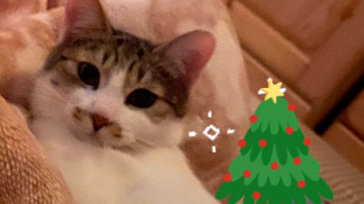 12月20日　通院5回目