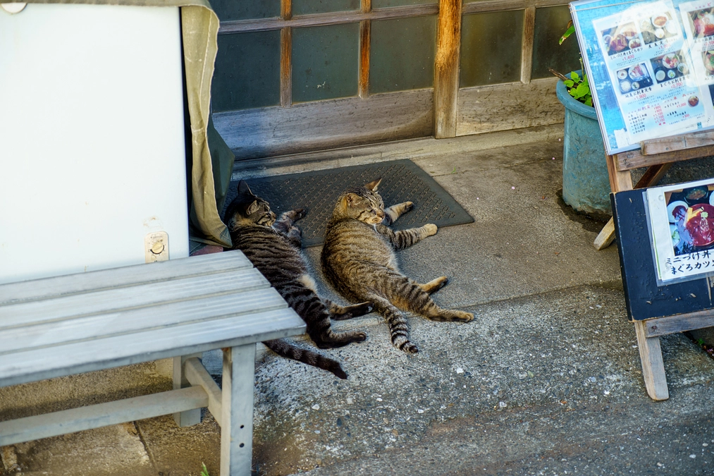 クラウドファンディング初日終了