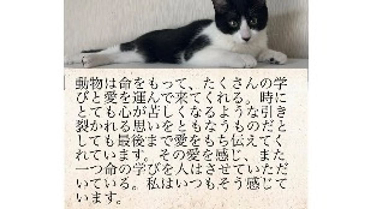 11月6日 〜 広報活動報告 〜