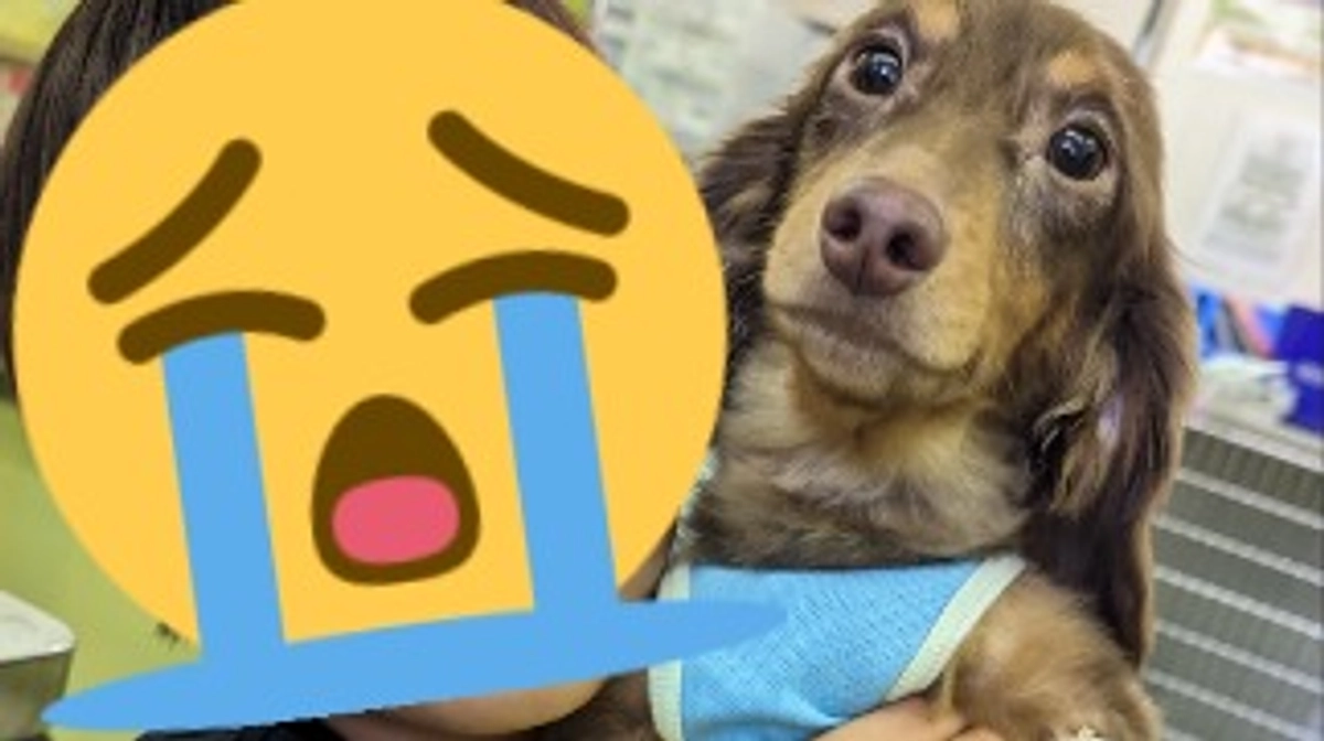 ご支援ありがとうございます🙇🏻‍♀️✨