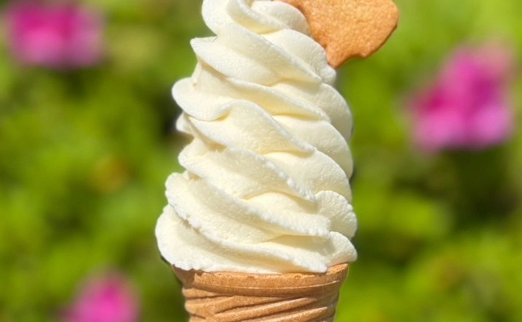 5000円コース｜ソフトクリーム引換券×3枚（シェア可・バラチケット）