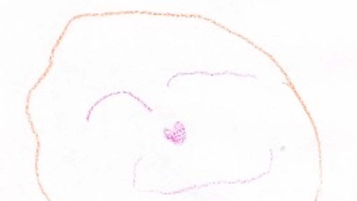 絵集めが終了しました！