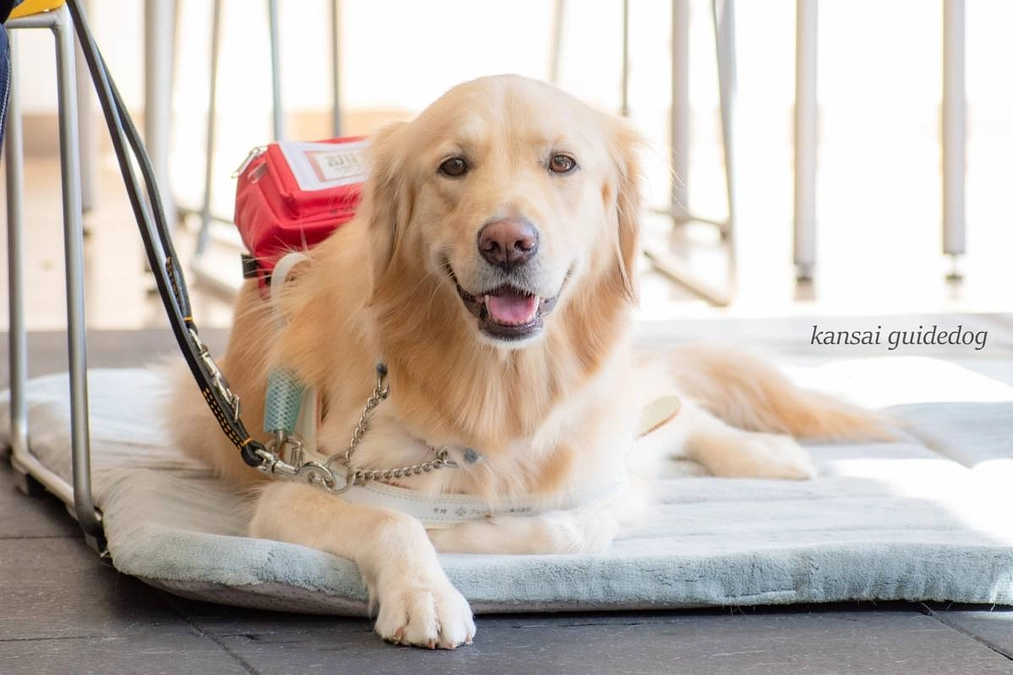 共同訓練のスタート(2023/10/18）