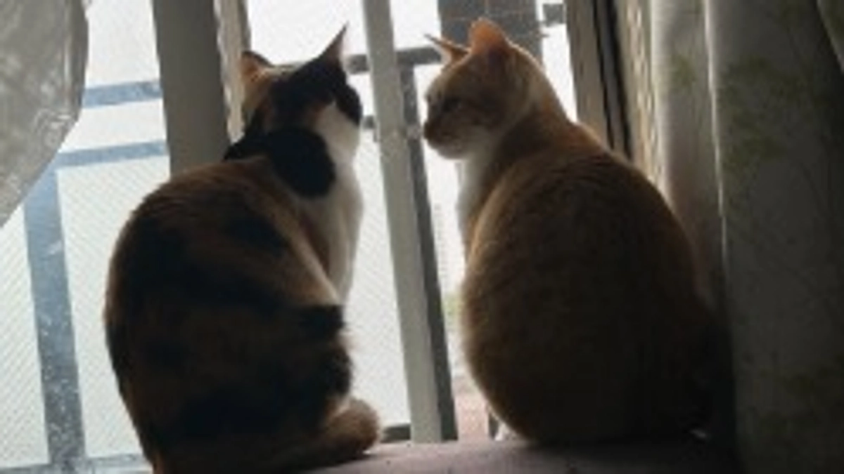 経過観察24日目（6/4）