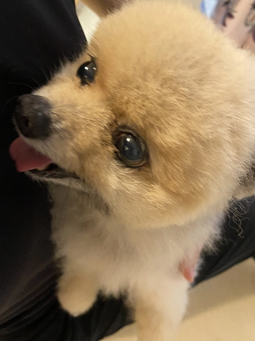 ありがとうございます！