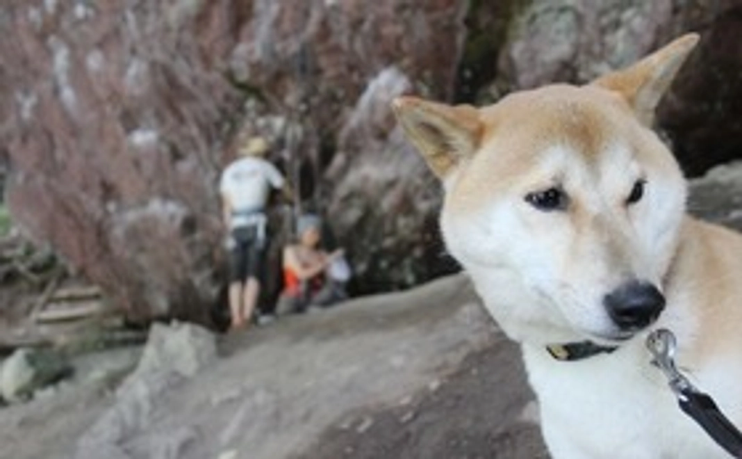 ご支援感謝のメール＆活動報告書　２