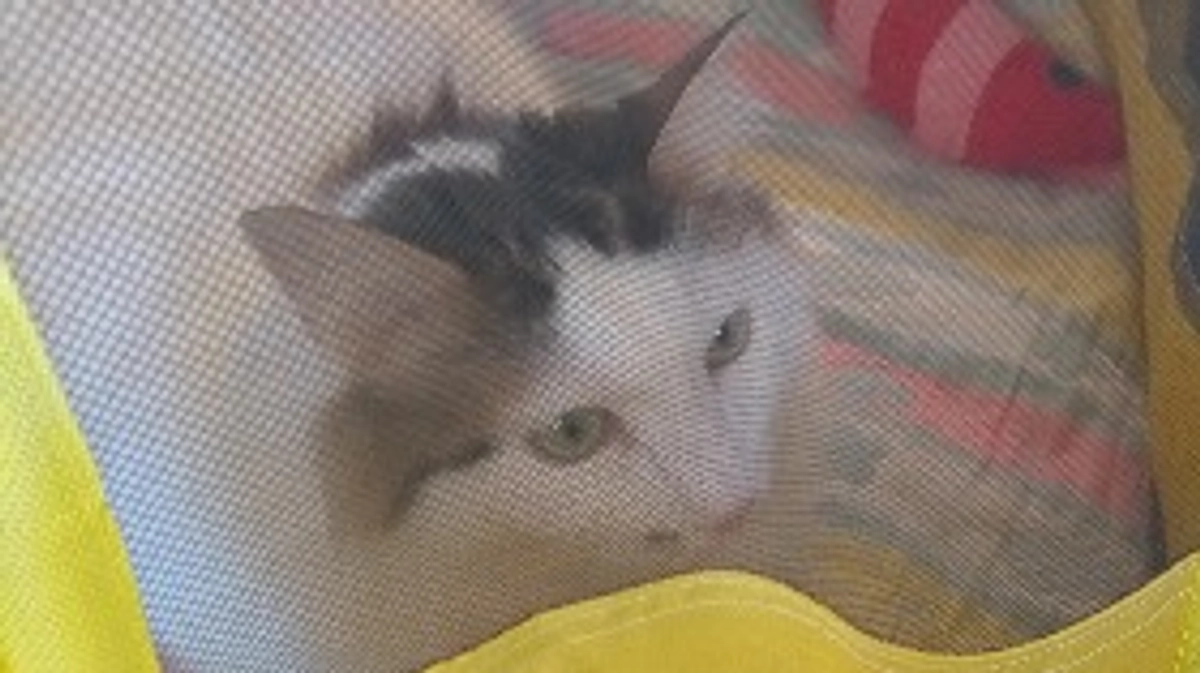 経過観察②2023.8.19~9.1間🏥