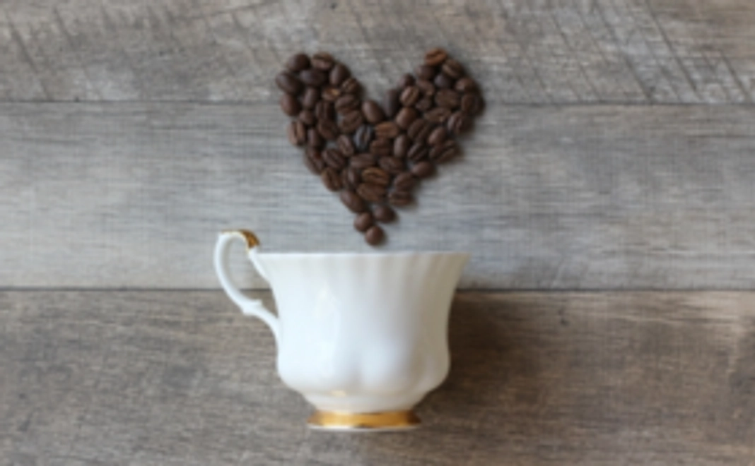 プレオープン無料参加優待券