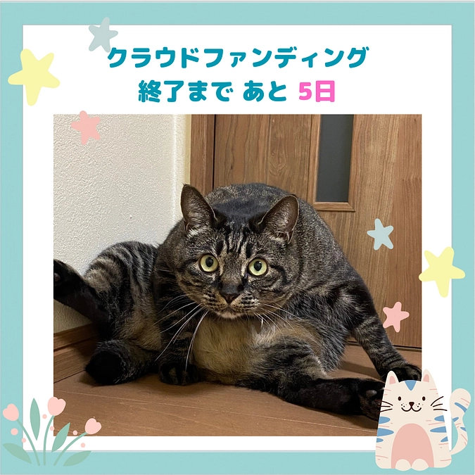 【残り5日！】応援コメントのご紹介です