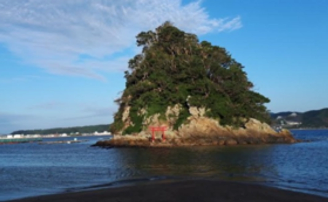 御礼のお手紙を郵送させて頂きます。