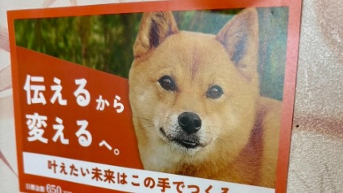 クラファンのチラシの頒布のお願いをしています！