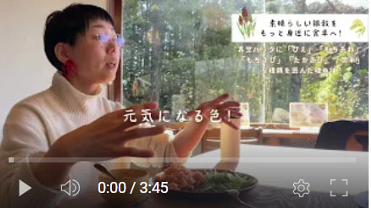 クラウドファンディングに挑戦しています