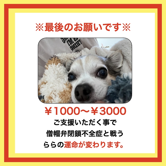 ※最後のお願い※　残り24時間を切ろうとしています💦💦