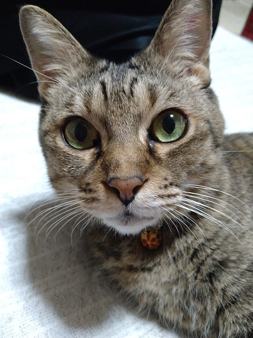 8月19日通院記録〈投薬40日目〉