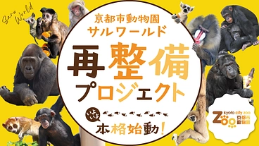 京都市動物園｜人と動物が共に生きる未来へ。サルワールド再整備、始動 のトップ画像