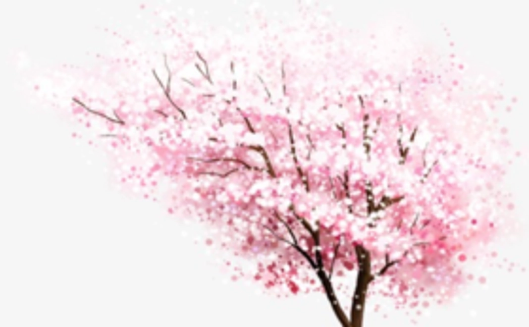 「冬の櫻 啓翁桜」をご自宅へお届け！（日本酒なし）