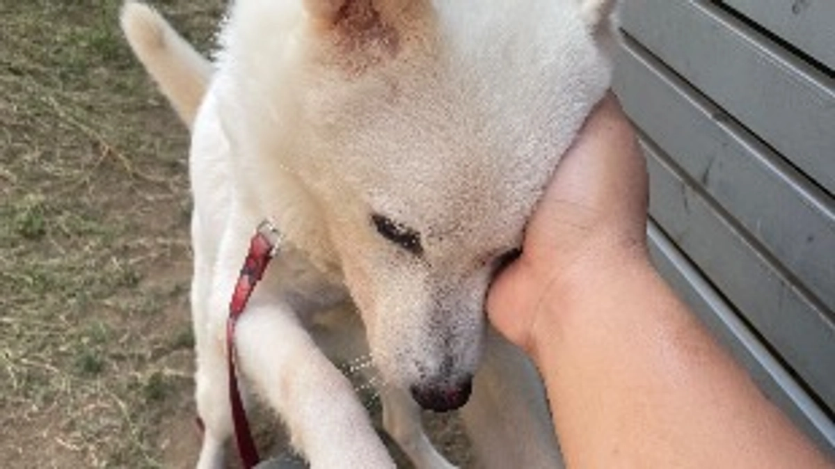 今日も暑いですね😱