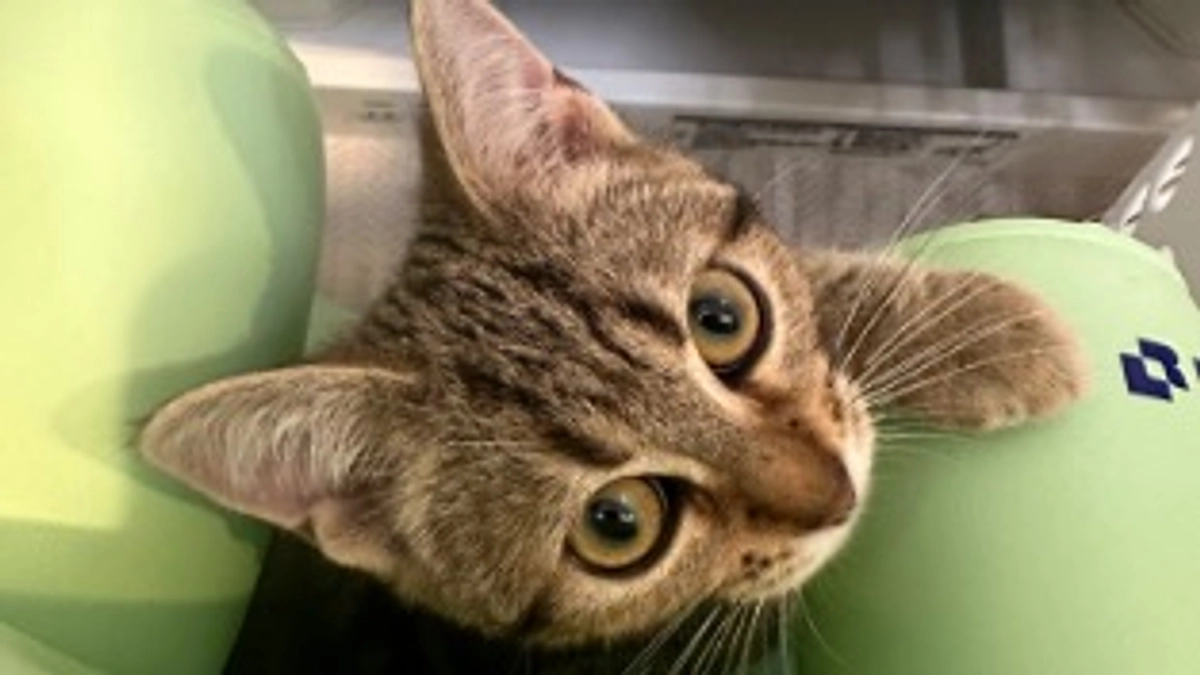 途中経過のご報告