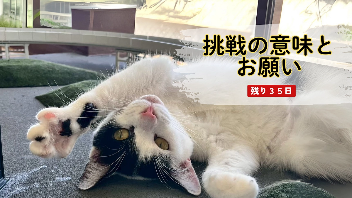 挑戦の意味とお願い