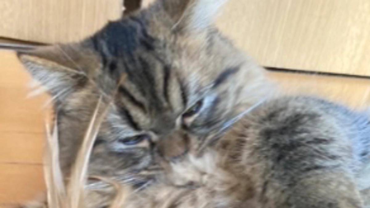 投薬完了１ヶ月半過ぎました