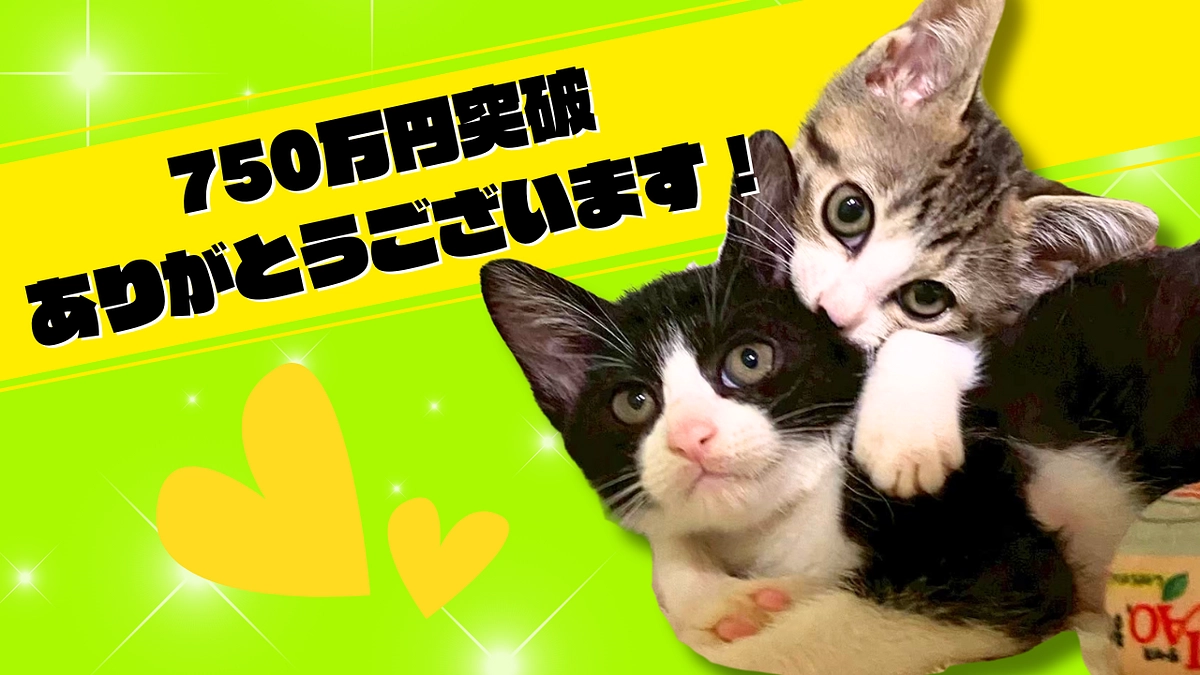 【感謝】750万円を突破しました！！