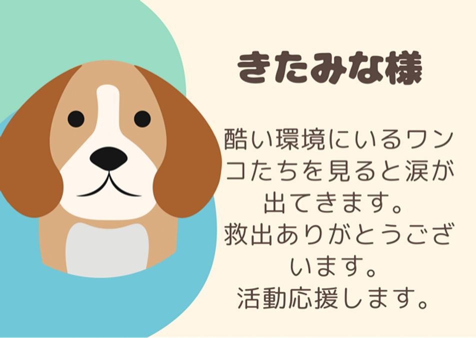 きたみな様からの応援メッセージ