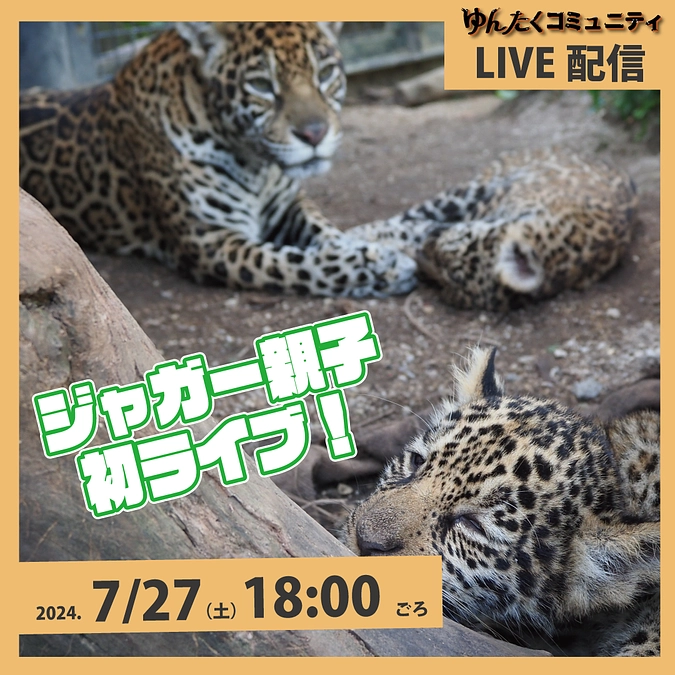 ゆんたくコミュニティ限定ライブ配信「ジャガー親子！初ライブ！」