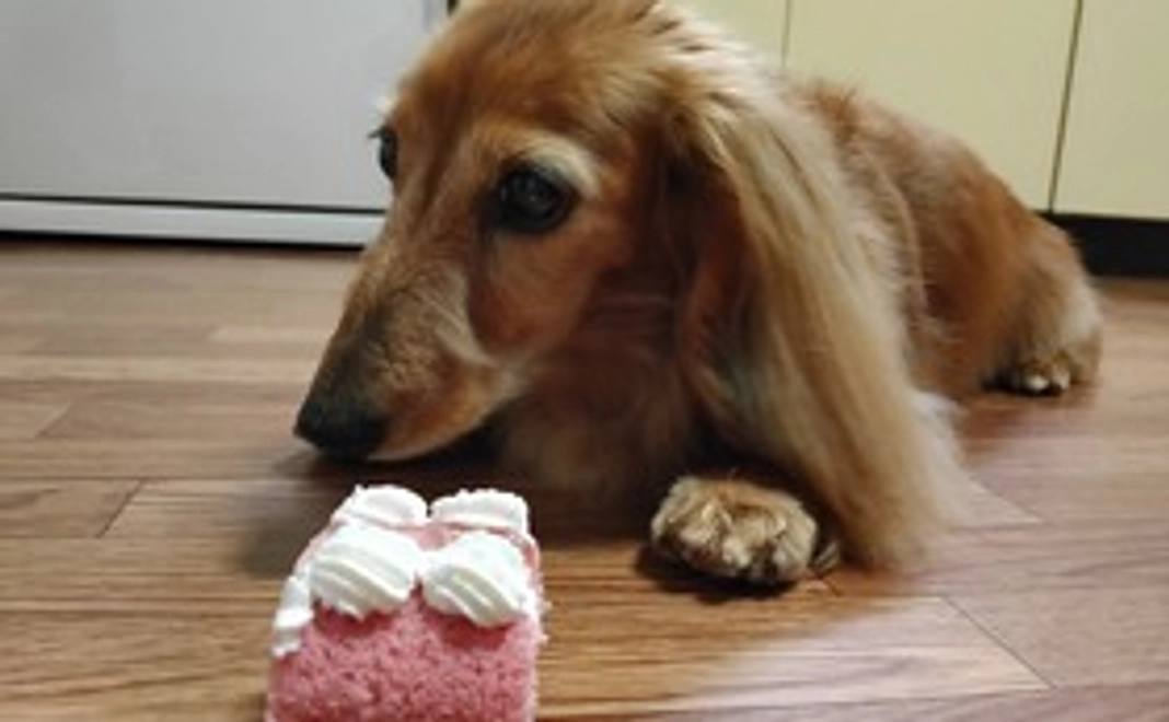 心から感謝します１