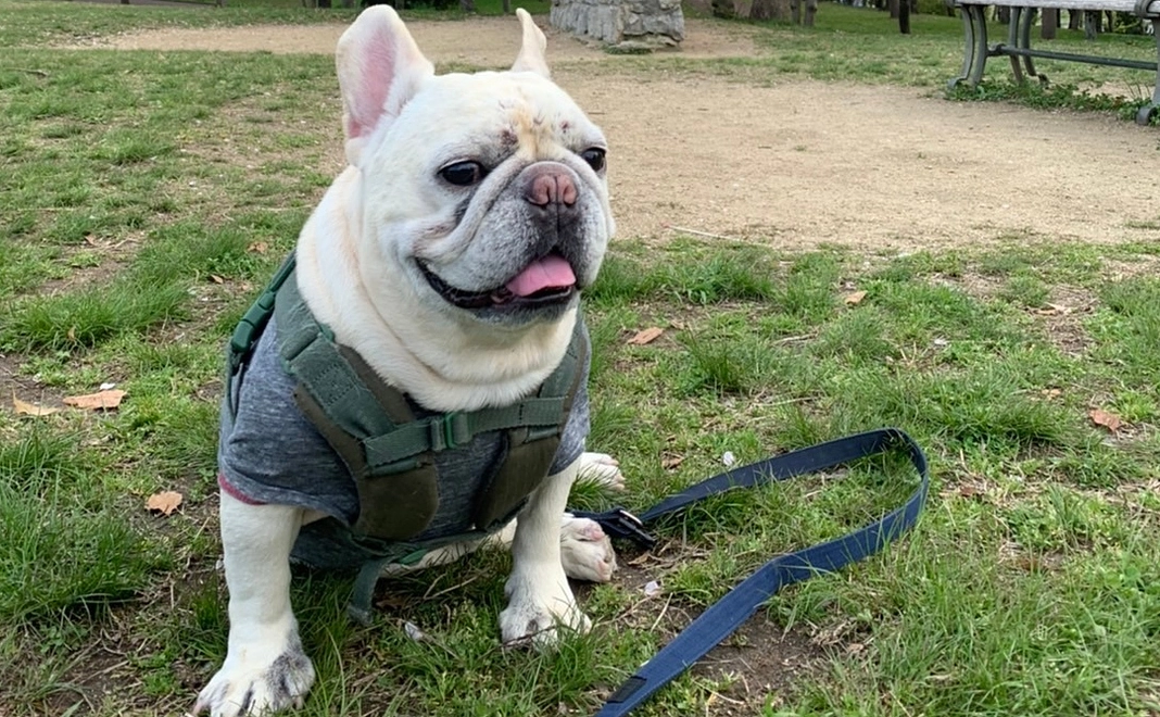 リターン不要 ①