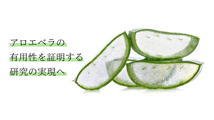 慢性腎臓病の方をサポートするための、アロエベラの可能性を探る！
