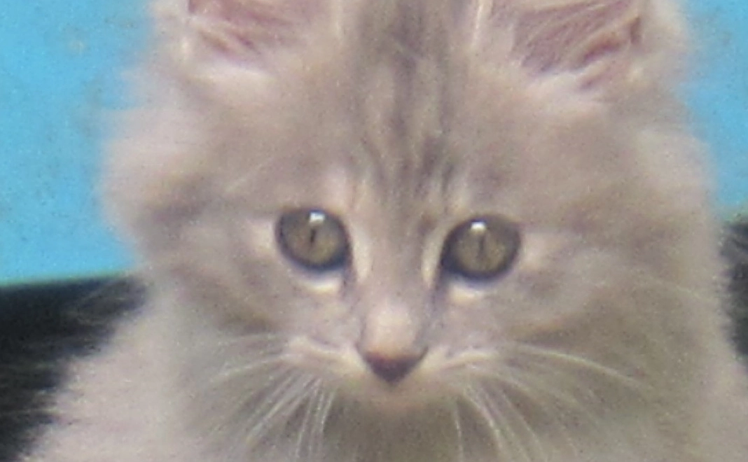 感謝のメール／１