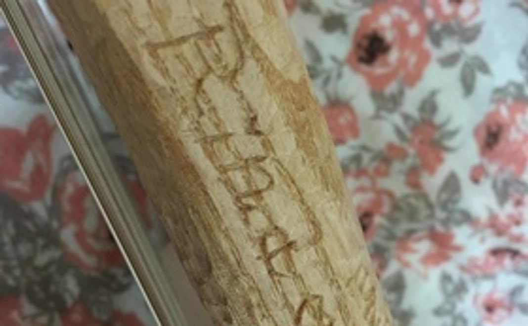 アナタの名前と一緒に活動します