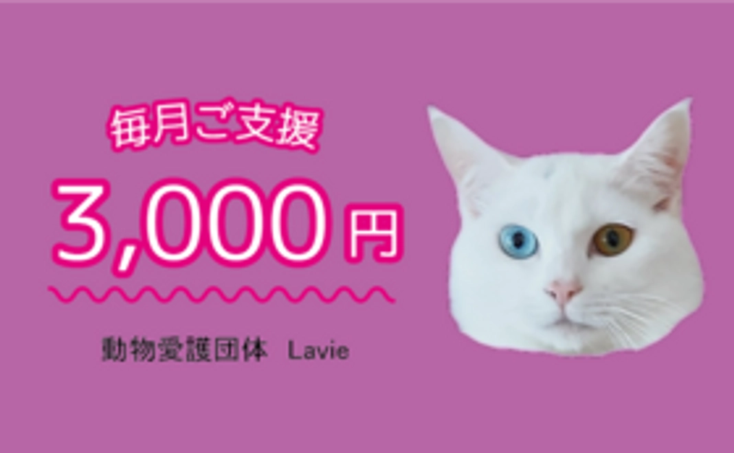 毎月ご支援　3,000円コース