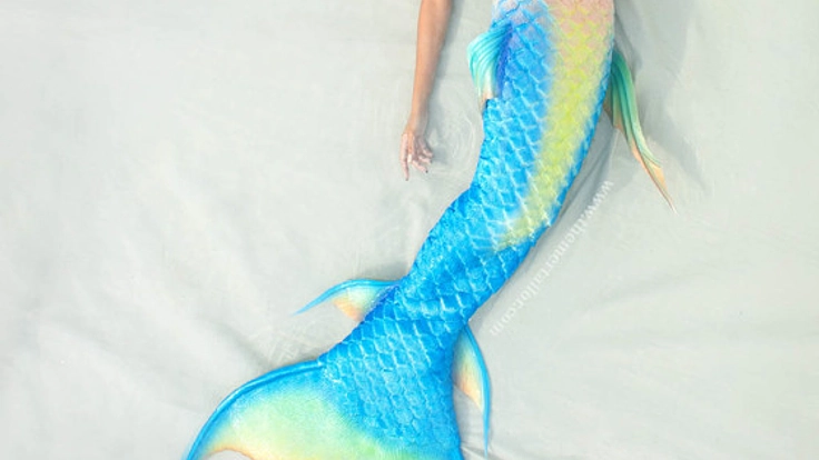 プロのマーメイドとして活躍するために人魚のフィンを入手したい