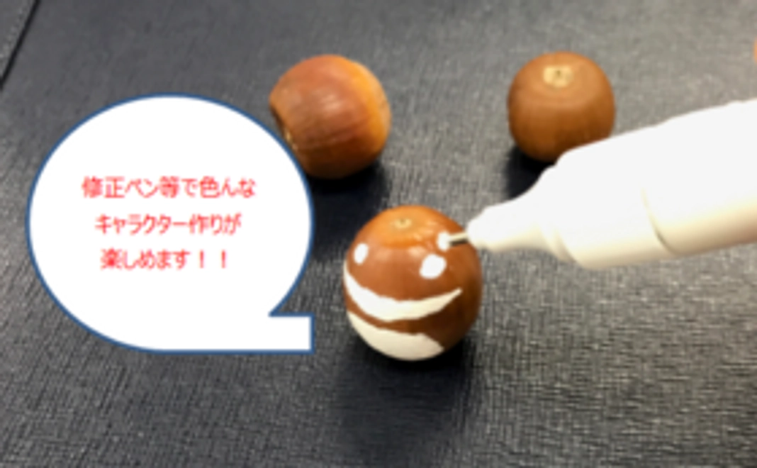 純粋応援コース