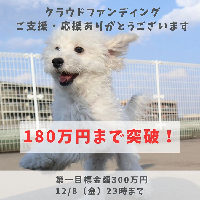 180万円まできました！