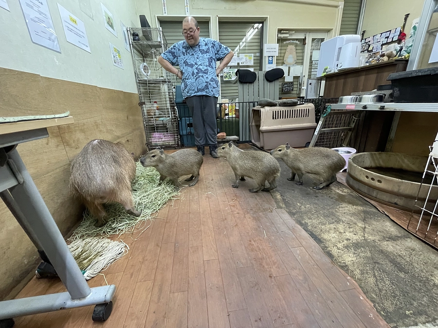 The return gifts for you