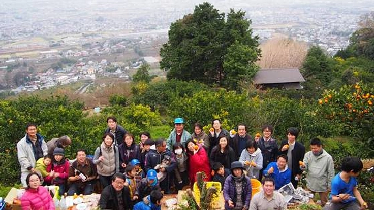 小田原のみかん文化を守る、みかん酒スパークリングを作りたい