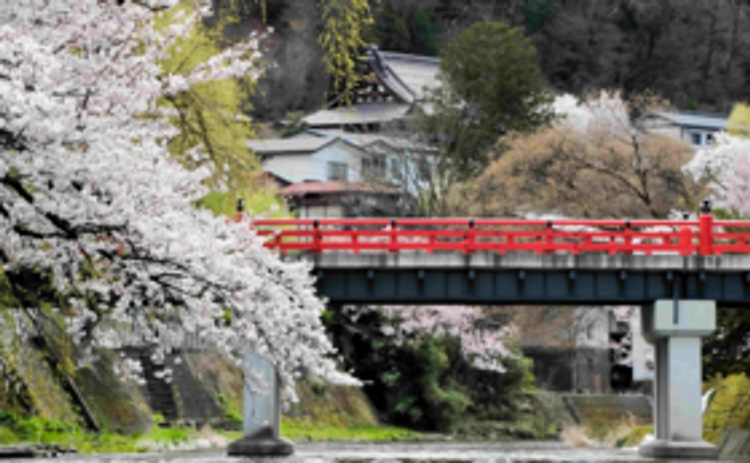 ルーマニアにゆかりの日本文化コース・3000円ご支援いただいた方々に