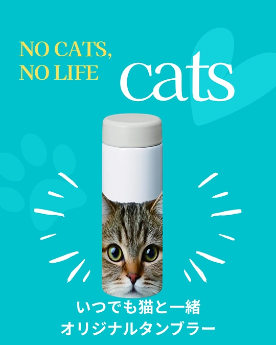 オリジナルタンブラーコースのご案内：キジトラ軍団よりお知らせします