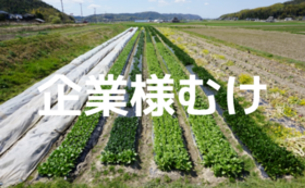 【企業様むけ】農業体験イベント主催コース