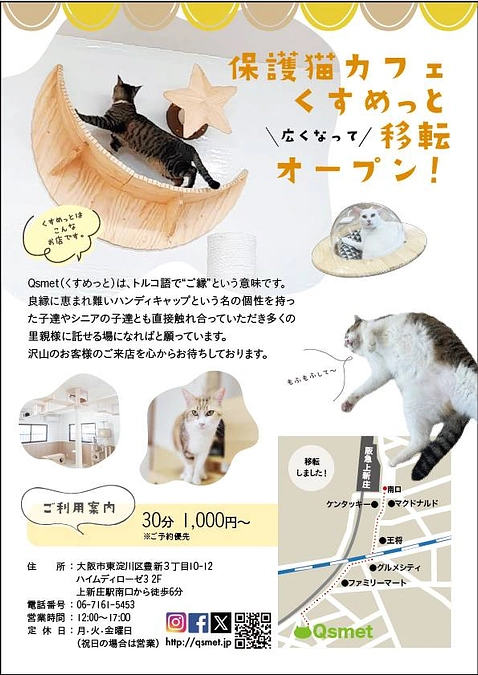 今週の日曜日から新店舗OPENしまーす。