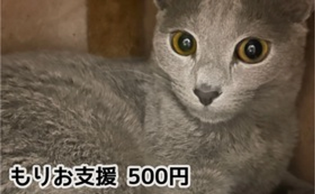 もりお応援コース 500円