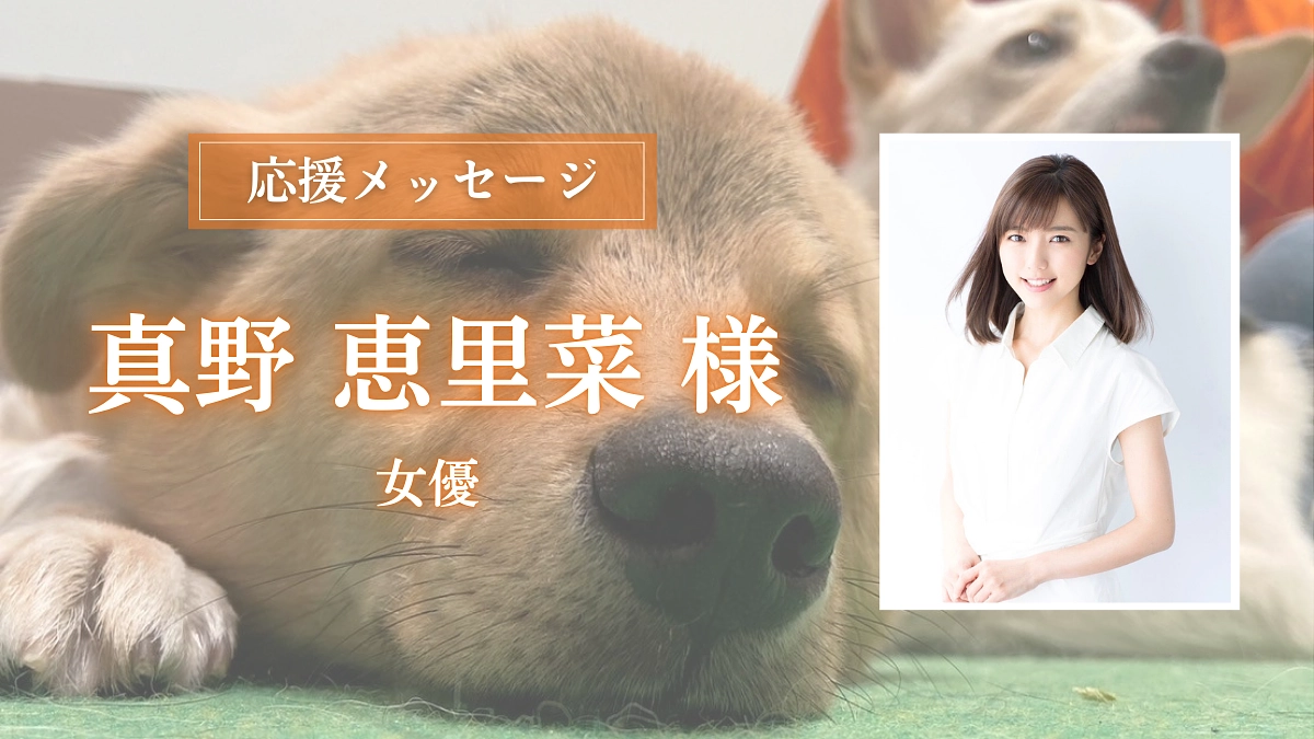 　女優の真野 恵里菜様からの応援メッセージのご紹介